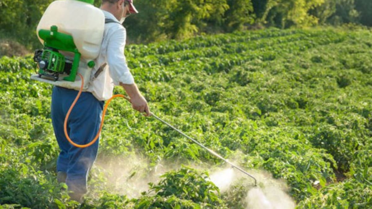 Produsele fitosanitare neautorizate în UE vor putea primi autorizații pentru șapte ani în R. Moldova