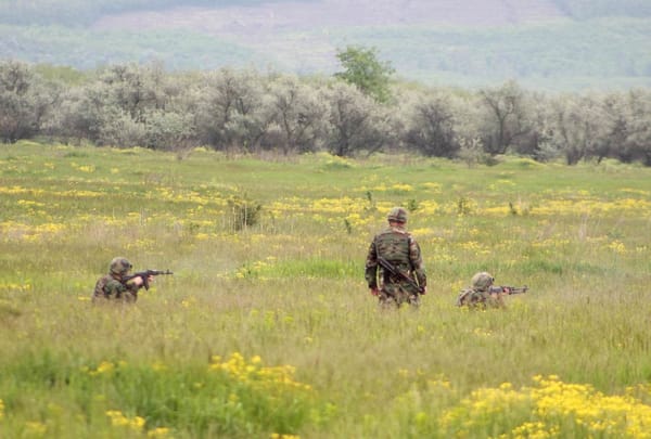 Două loturi de teren de lângă Băcioi vor fi transmise Ministerului Apărării, pentru dezvoltarea infrastructurii militare a Armatei Naționale