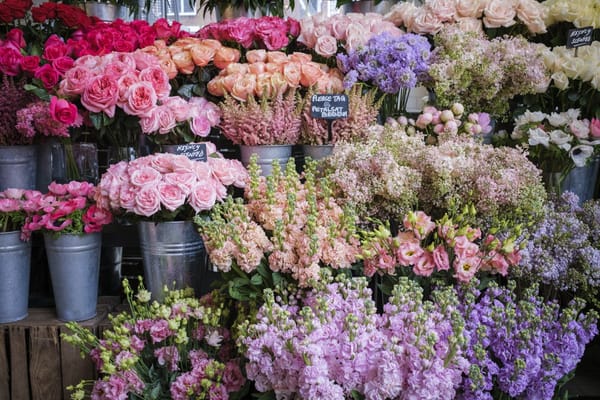 Din 1 septembrie, Serviciul Fiscal de Stat va monitoriza activitatea de comerț cu flori