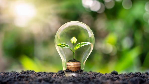 Ora Pământului: Cetățenii sunt îndemnați să stingă lumina timp de 60 de minute, în seara zilei de sâmbătă