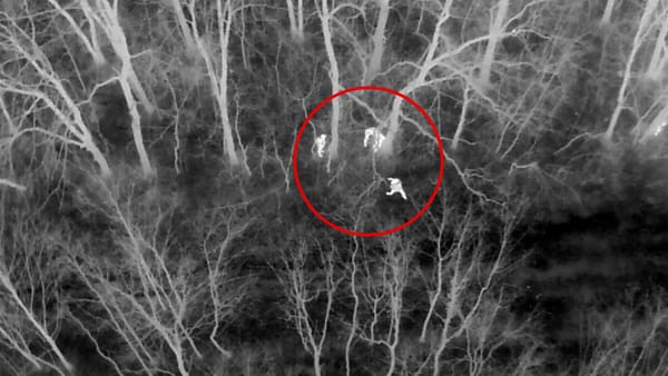 Zece ucraineni, prinși după ce au ajuns ilegal în R. Moldova. Ar fi achitat 80.000 de dolari ca să fie ajutați