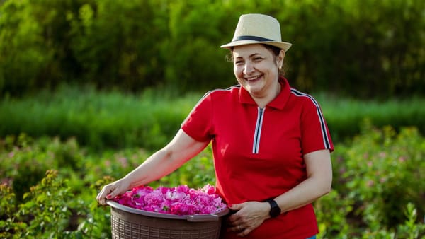 Femeile antreprenoare din R. Moldova pot obține granturi în valoare de până la 600 de mii de lei