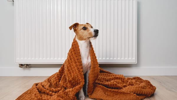 În capitală se încheie sezonul de căldură. Precizările municipalității