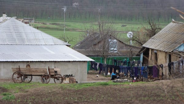 Luni începe Recensământul Populației și Locuințelor 2024 în R. Moldova. Cum vor fi colectate informațiile