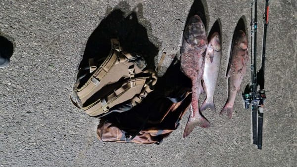 Pescuit ilegal. Inspectorii de mediu au sancționat mai multe persoane în raioanele Leova și Criuleni