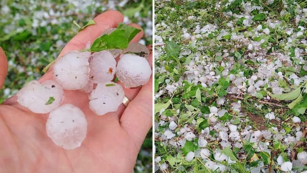 Furtună puternică însoțită de grindină în România. Mai multe gospodării au fost distruse