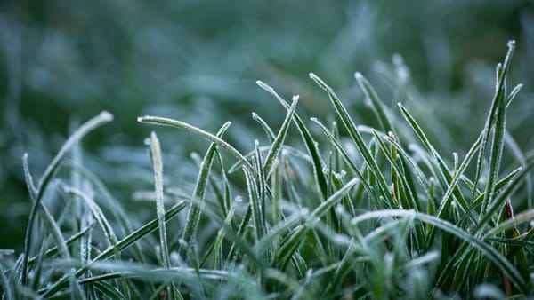Atenție! Cod galben de înghețuri pe întreg teritoriul țării