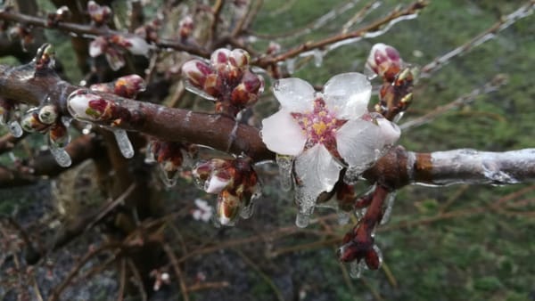 Vreme instabilă în țară! Spre R. Moldova se îndreaptă un nor de praf saharian, iar sâmbătă se așteaptă înghețuri