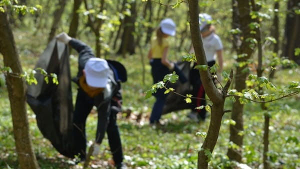 VIDEO/ Autoritățile lansează o acțiune de salubrizare în pădurile din țară. Cum putem participa
