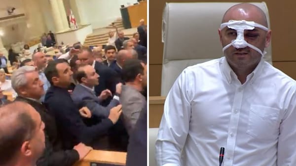 Bătaie în Parlamentul de la Tbilisi în timpul examinării în a doua lectură a legii privind „agenții străini”