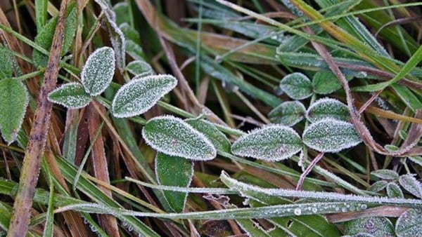 Atenție! Meteorologii anunță că la noapte se așteaptă înghețuri de până la -2°C la suprafața solului