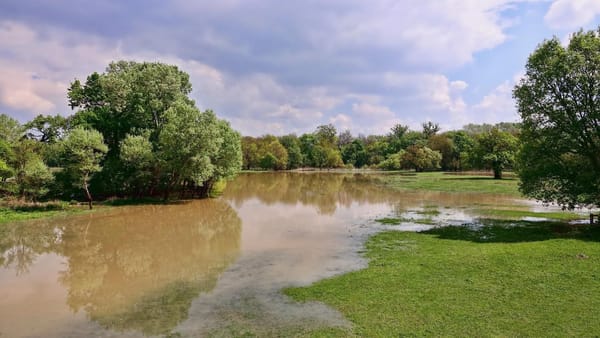 Risc sporit de inundații locale: În unele râuri mici, nivelul apei va crește cu până la 30 de centimetri