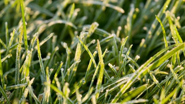 Atenție! Cod galben de înghețuri pe întreg teritoriul țării