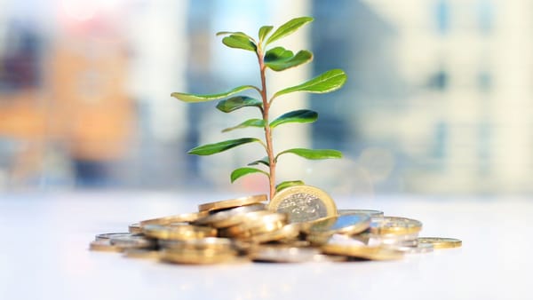 Trei companii străine și-au anunțat intenția de a intra pe piața din R. Moldova. Una este din Coreea de Sud