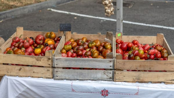 Produse eco, obiecte artizanale și rechizite școlare: Lista târgurilor și iarmaroacelor organizate în capitală