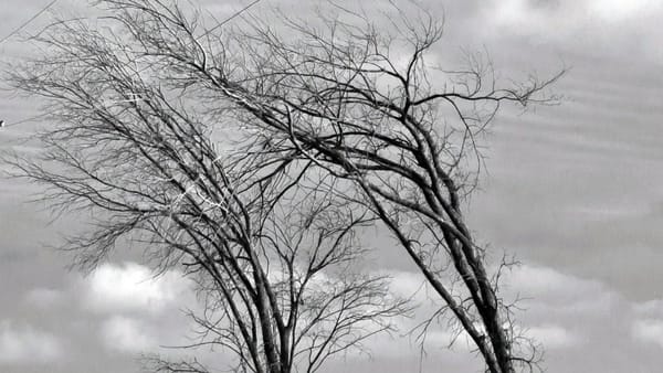 Atenție! Cod galben de intensificări ale vântului în nordul și centrul țării