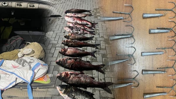 Doi moldoveni, prinși cu peste 90 de kilograme de pește pescuit ilegal