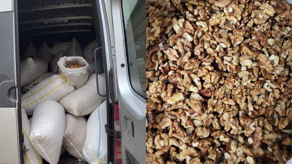 Inspectorii vamali au confiscat trei tone de miez de nucă, transportate fără acte de proveniența