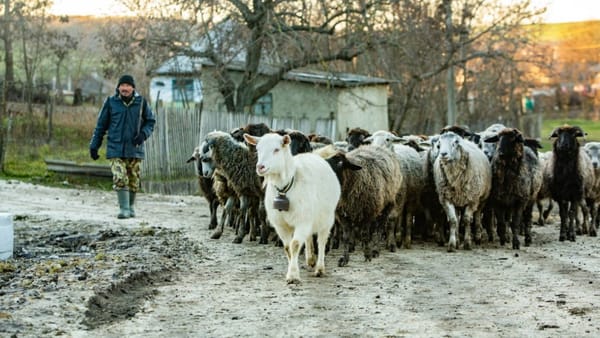 Ajutor pentru R. Moldova pentru a spori securitatea energetică. Suma acordată de Norvegia țării noastre