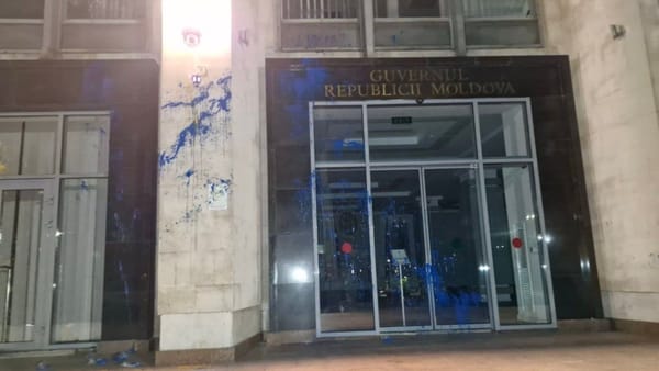 Tinerii care au stropit cu vopsea clădirea Guvernului, condamnați la închisoare cu suspendare