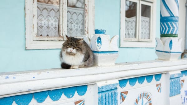 Pregătiți hainele călduroase. În țară se vor înregistra minime de până la -15°C