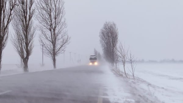 Codul galben de ninsori, prelungit în România. Stratul de zăpadă ar putea ajunge până la 40 cm în București