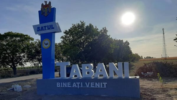 Încă o localitate din țară își va alege primarul pe 18 mai. Decizia Comisiei Electorale Centrale