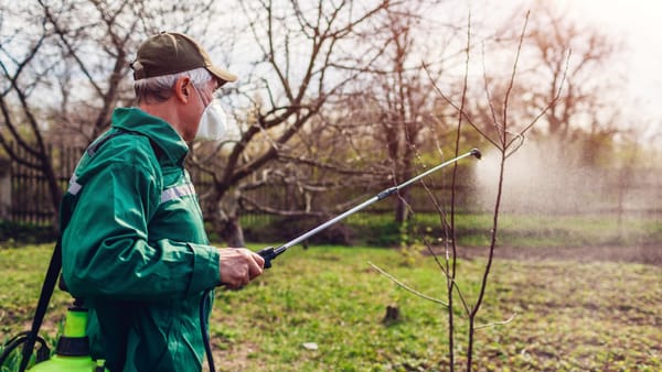 Atenție la utilizarea pesticidelor în gospodării. Recomandările Agenției Naționale pentru Siguranța Alimentelor