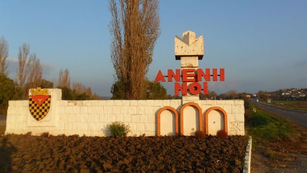 Doi bărbați din Anenii Noi, condamnați pentru că au urcat băuți la volan. Unul dintre ei este consilier raional