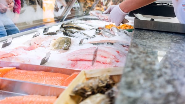Cum să alegi și să păstrezi corect peștele. Recomandările specialiștilor în domeniul siguranței alimentelor
