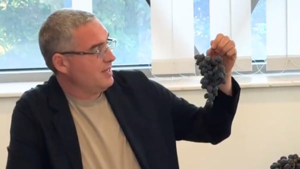 Rebranding la „Partidul Nostru”. Noul simbol al formațiunii va fi ciorchinele de strugure