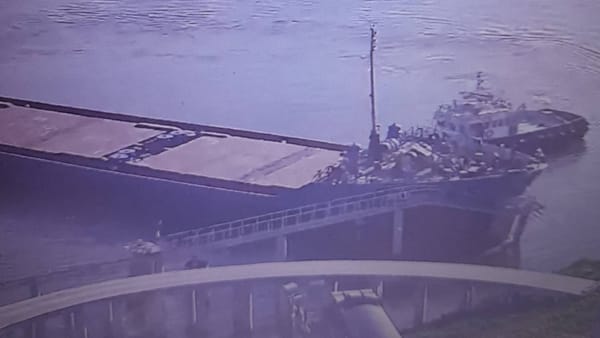 Incident la Portul Internațional Liber Giurgiulești. Un terminal de cereale a fost scos temporar din funcțiune