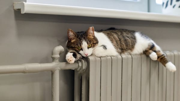 La Bălți continuă furnizarea energiei termice. Cei care au sistat serviciul pot solicita reluarea