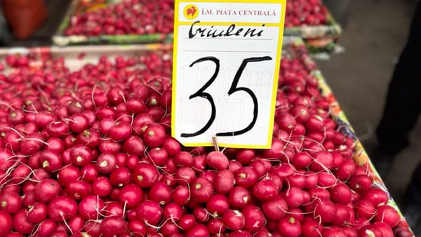 La tarabe au apărut primele legume moldovenești. Care sunt prețurile și ce spun cetățenii