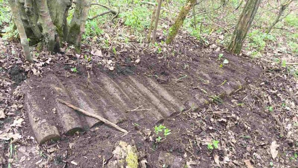 Geniștii moldoveni au distrus peste 20 de obiecte explozive într-un sat din Ștefan Vodă