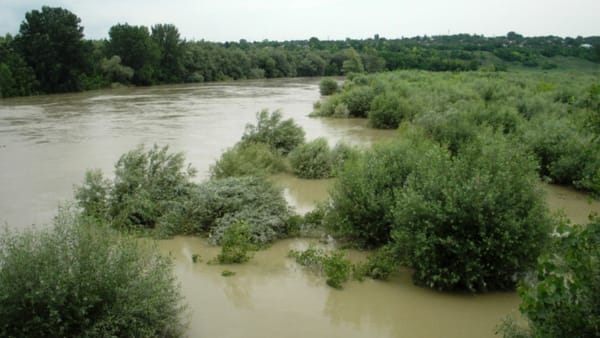 Pericol de inundații pe râul Prut, sectorul lacul de acumulare Stânca-Costești. A fost emis cod galben