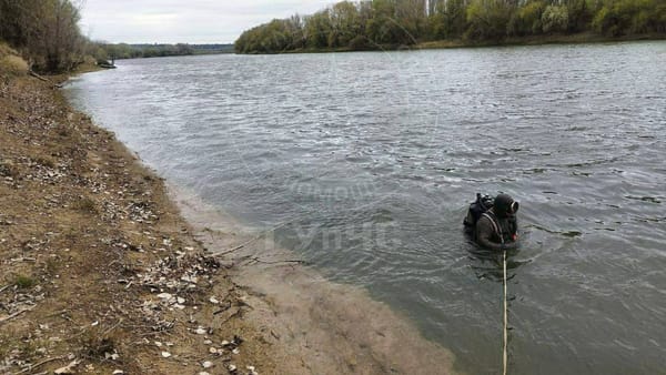 O fată de 11 ani a murit înecată în râul Nistru, după ce a încercat să-și salveze prietena