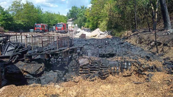 Incendiu în capitală. Focul a afectat paleți pe care se aflau forme din plastic pentru fabricarea teracotei