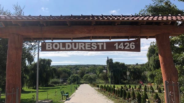 Alegerile din Boldurești. Astăzi vor fi renumărate voturile