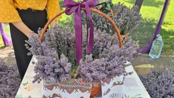 În capitală sunt organizate târguri cu produse și mărfuri autohtone. Lista adreselor din fiecare sector