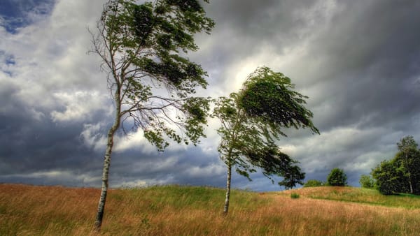 Meteorologii au emis cod galben de vânt puternic în nordul și unele raioane din centrul țării