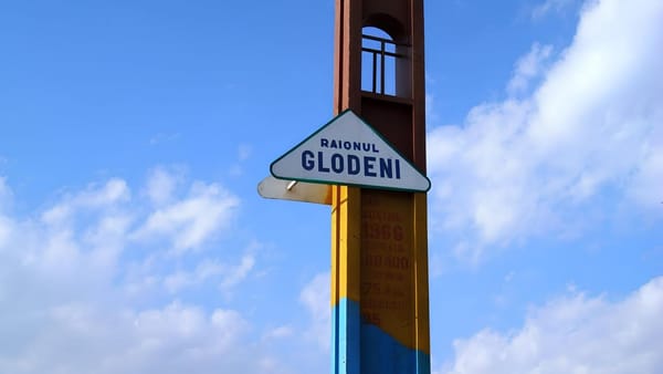 Un bărbat din Glodeni a fost condamnat la șapte ani de închisoare, după ce a omorât cu bestialitate un cal