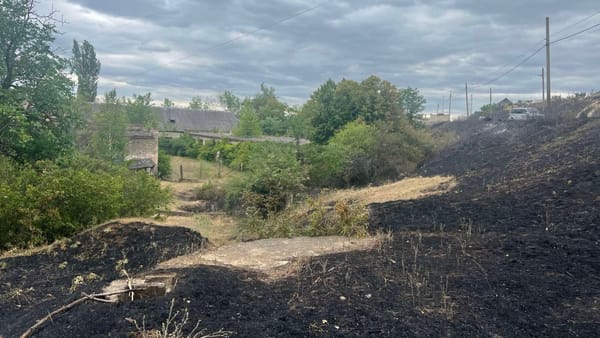 Pompierii atenționează repetat cetățenii despre pericolul incendiilor de vegetație. Recomandări