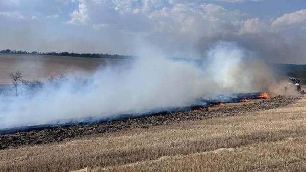 Incendiu puternic de vegetație la Comrat: Victime nu au fost raportate