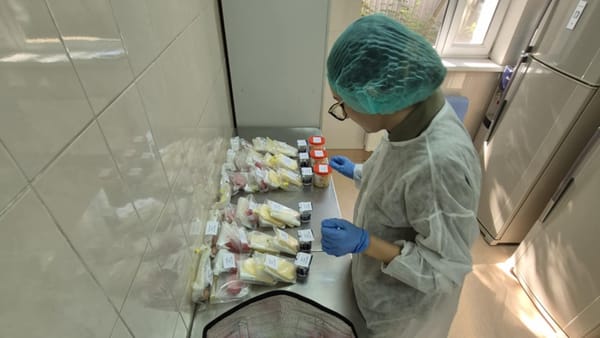 Alimentele expuse la temperaturi caniculare devin periculoase pentru sănătate. Rezultatele unui experiment al ANSA