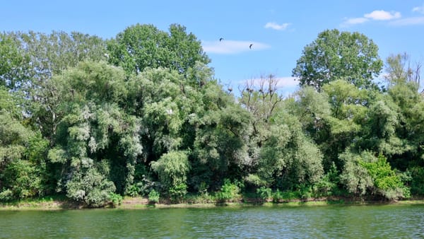 Cer variabil și vreme fără precipitații. Termometrele vor indica astăzi până la 30°C
