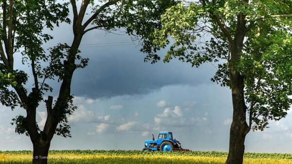 Canicula pune stăpânire pe R. Moldova. Meteorologii anunță cod galben în toată țara
