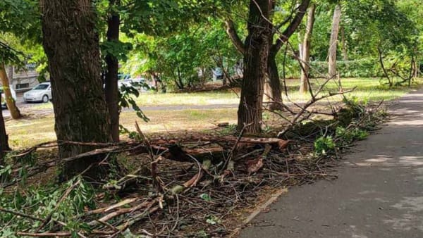 Ploaia și vântul au provocat pagube în mai multe raioane din țară, dar și în capitală