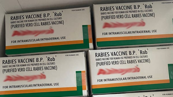 R. Moldova a recepționat prima parte a celui de-al doilea lot de vaccin antirabic