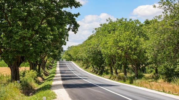 Vreme fără precipitații și maxime de +35 de grade Celsius. Prognoza meteo pentru ziua de 4 august